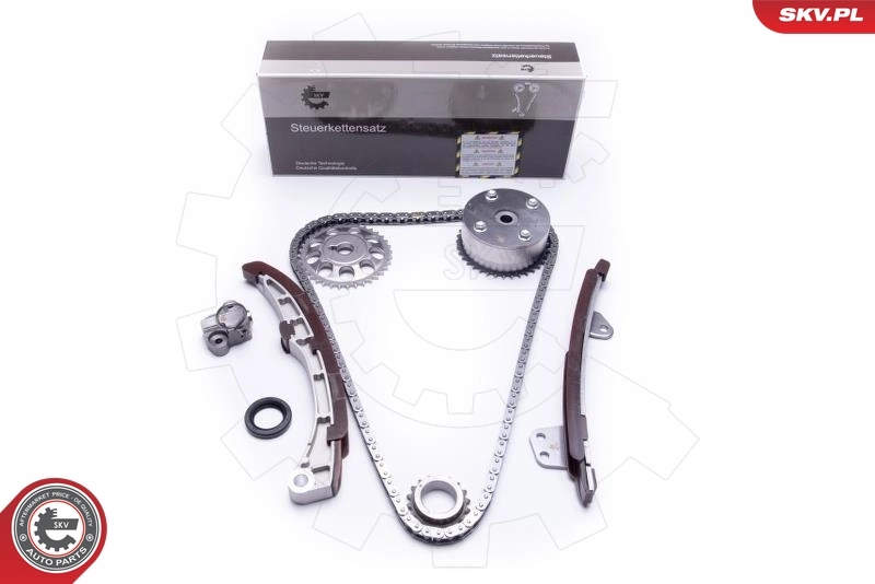 Timing Chain Kit